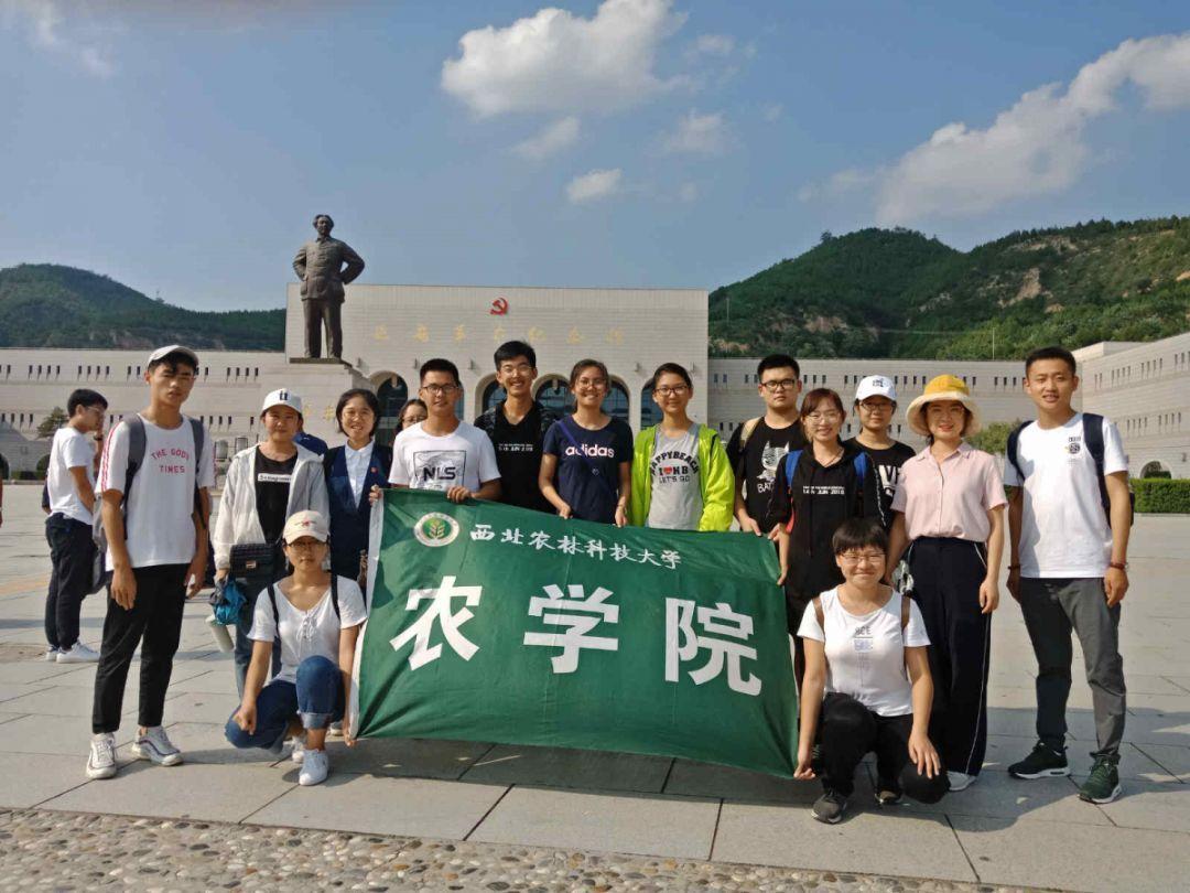汽车产业变革浪潮下，如何把握机会？